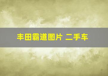 丰田霸道图片 二手车